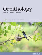 Cover image of current issue from Ornithology