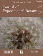 Cover image of current issue from Journal of Experimental Botany